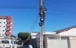 Patos Not�cia